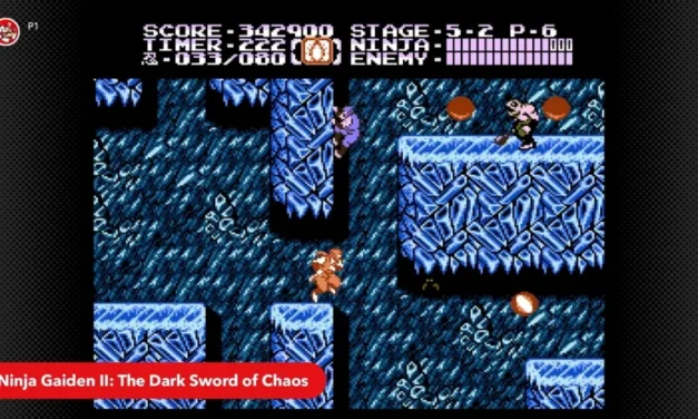 Battletoads, Ninja Gaiden II, And More Come To Nintendo Switch Online