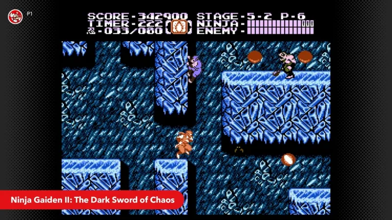 Battletoads, Ninja Gaiden II, And More Come To Nintendo Switch Online