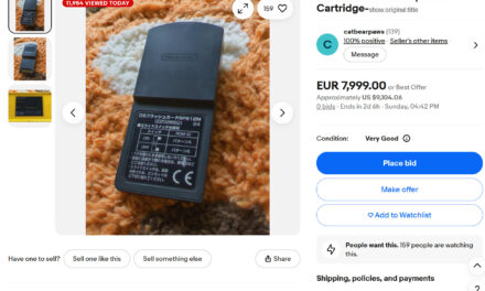 Lost one-of-a-kind Nintendo DS cartridge hits eBay for $9,100 — PokePark Fishing Contest designed to delete itself after 12 hours, game so rare it was only distributed to theme park attendees in 2005
